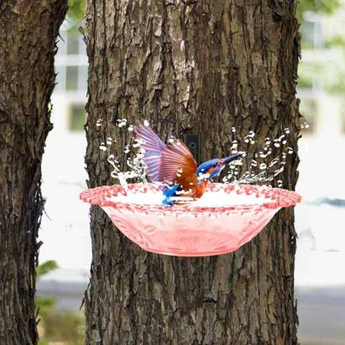 Mangeoire pour colibri design