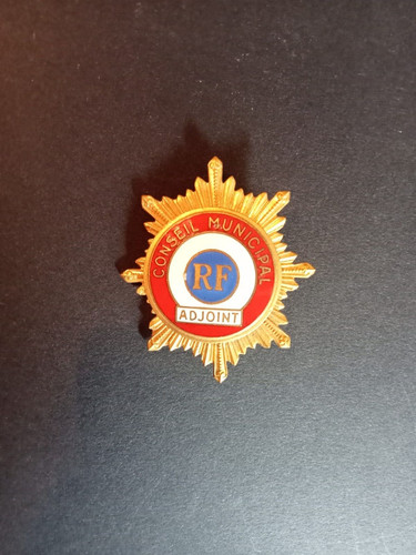 Insigne fonction conseil - fonction,