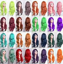 Perruque Cosplay Homme et Femme 70cm longue costume cheveux déguisement