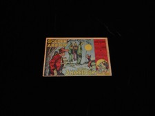 Coq Hardi 32 Golden Arrow (Flèche d'or)  / Steve Evans