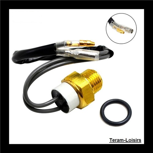 Sonde température thermostat - température,