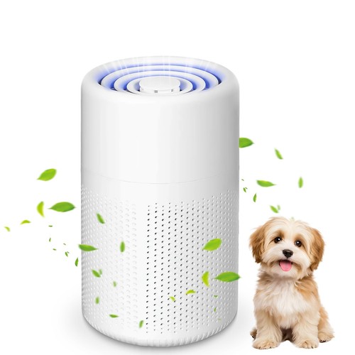 Purificateur air chambre - purificateur,