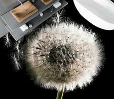 Papier peint photo 3D