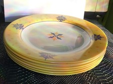 Lot 7 assiettes plates Luminarc
