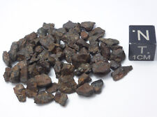 10.18 g NWA 4482 Pallasite Meteorite