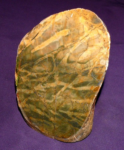 Bois fossilisé myrte bandon - bois,