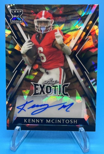 2023 leaf exotic - exotic, tiger