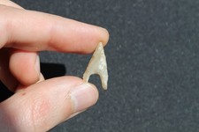 Préhistoire Néolithique