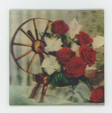 Rouge blanc roses avec - roses,