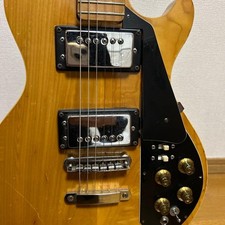 Bizarre Guitar Les Paul