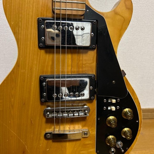 Bizarre guitar les - les, paul