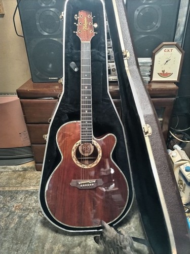 Rare vintage takamine eco - vintage,