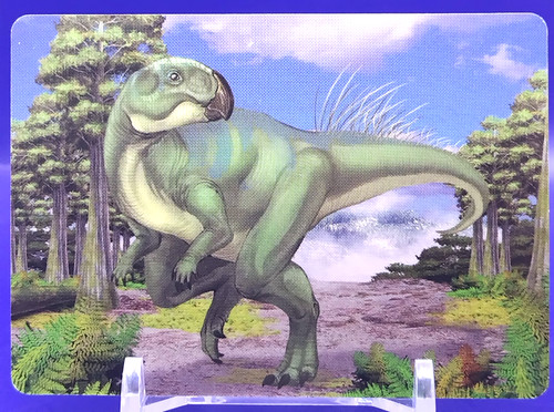 Cartes psittacosaurus - psittacosaurus, /