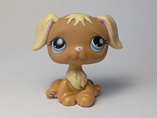 Littles petshop hasbro - littles,