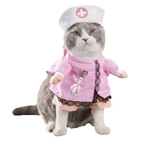 Costume infirmière pour chat - infirmière,