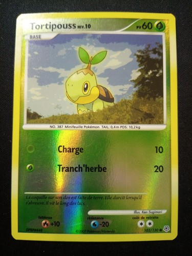 Carte pokémon tortipouss - carte,