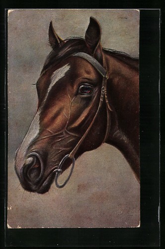 Carte postale artiste cheval - postale,