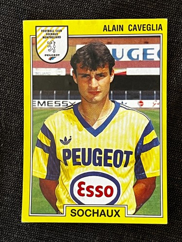 Vignette sticker panini foot - vignette,