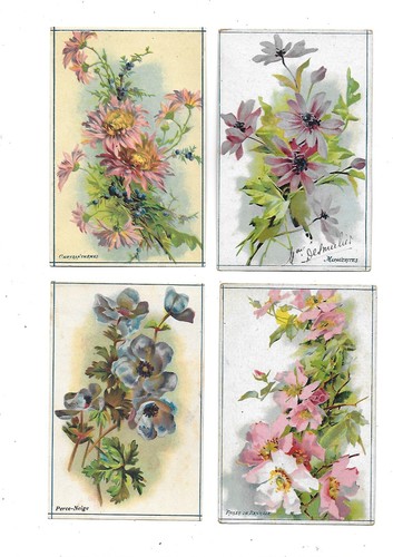 Anciens chromos images - chromos,