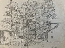 beau dessin Arbre Papier