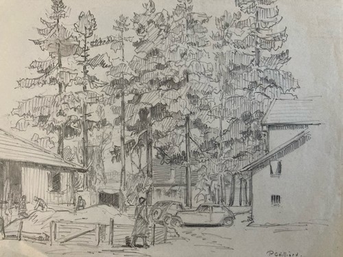 Beau dessin arbre - dessin, papier
