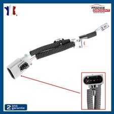 Faisceau d'Injecteurs pour