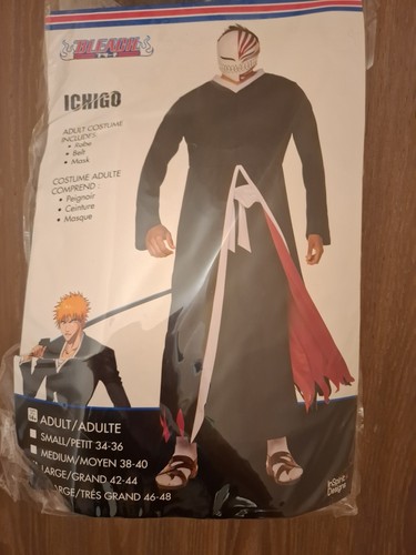 Costume ichigo without mask - ichigo,