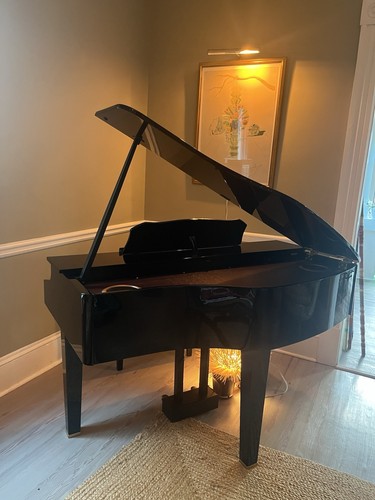 Roland elec piano - roland, light