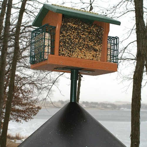 Mangeoire oiseaux - à,