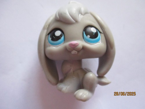 Petshop lapin belier 346 - lapin, n°346