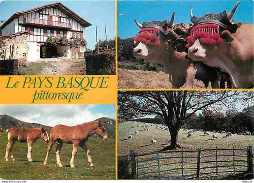 Carte postale animaux - -,