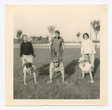 Snapshot Photographie vintage groupe acrobatie faisant la brouette  - SA929