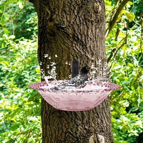 Mangeoire pour colibri design