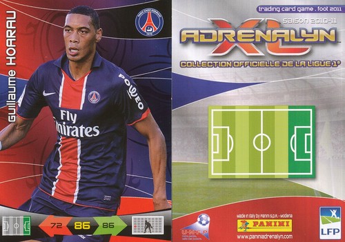 Guillaume hoarau card - guillaume,