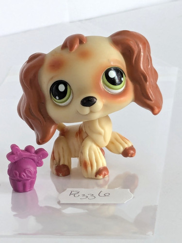 Authentique petshop chien - authentique,