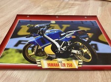 Yamaha TZR250 1989 250 TZR