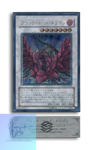 Dragon rose noire relief - dragon,