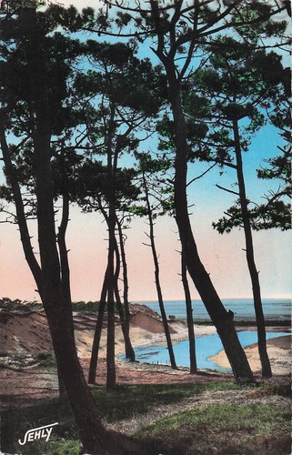 Faute sur mer plage - mer,