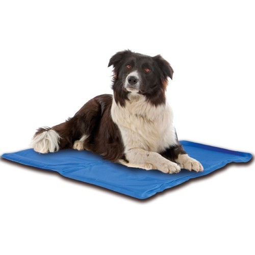 Tapis matelas chaise longue - tapis,