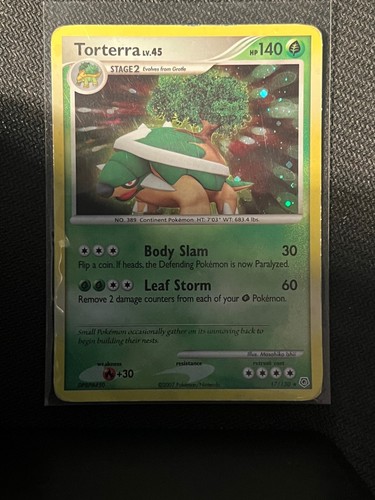Torterra holo diamond - holo,