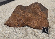 Meteorite NWA 17436 Chondrite