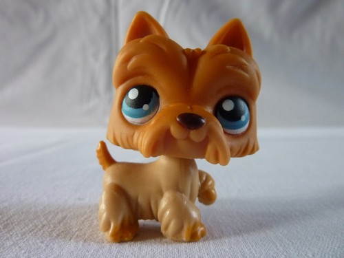 Petshop lps littlest - lps,