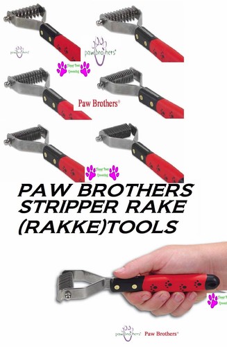 Professional groomer set - groomer,