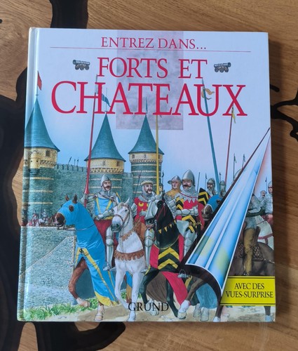 Livre entrez dans forts - bd,