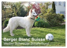 Berger Blanc Suisse - Berger