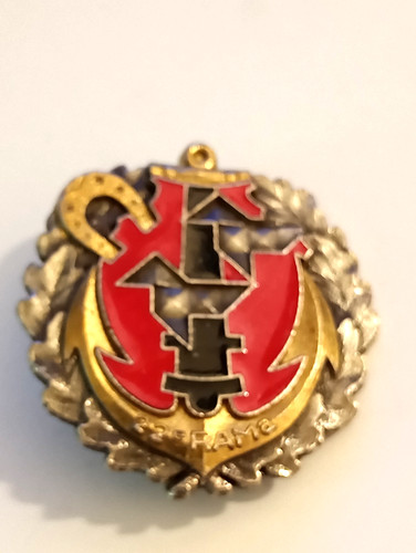 Insigne pucelle nettoyer - insigne,