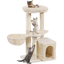 Petit Arbre à Chat