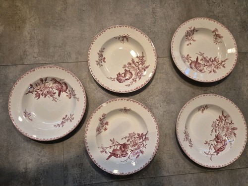 Assiettes creuses - 5,