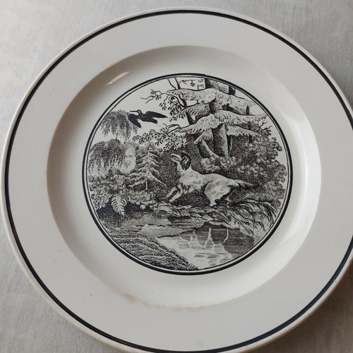 Ancienne assiette décor - ancienne, assiette,