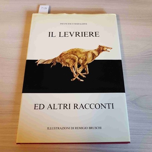 Zircone lévrier collier en - il,